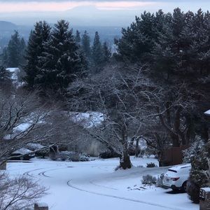 Meet your Posher, Bernie